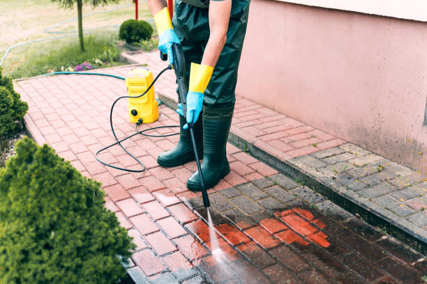 Best Dumpster Area Cleaning  in East Berwick, PA
