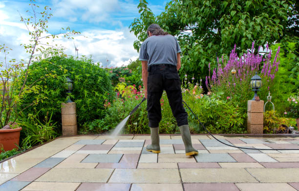 Best Animal Enclosure Cleaning  in East Berwick, PA